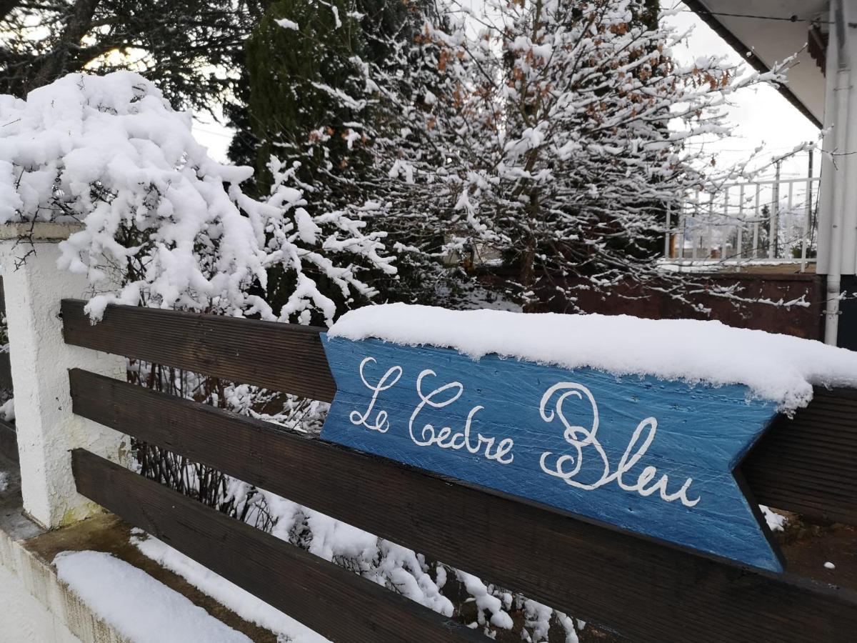 Hotel Le Cedre Bleu Saint-Michel-sur-Meurthe Exterior foto